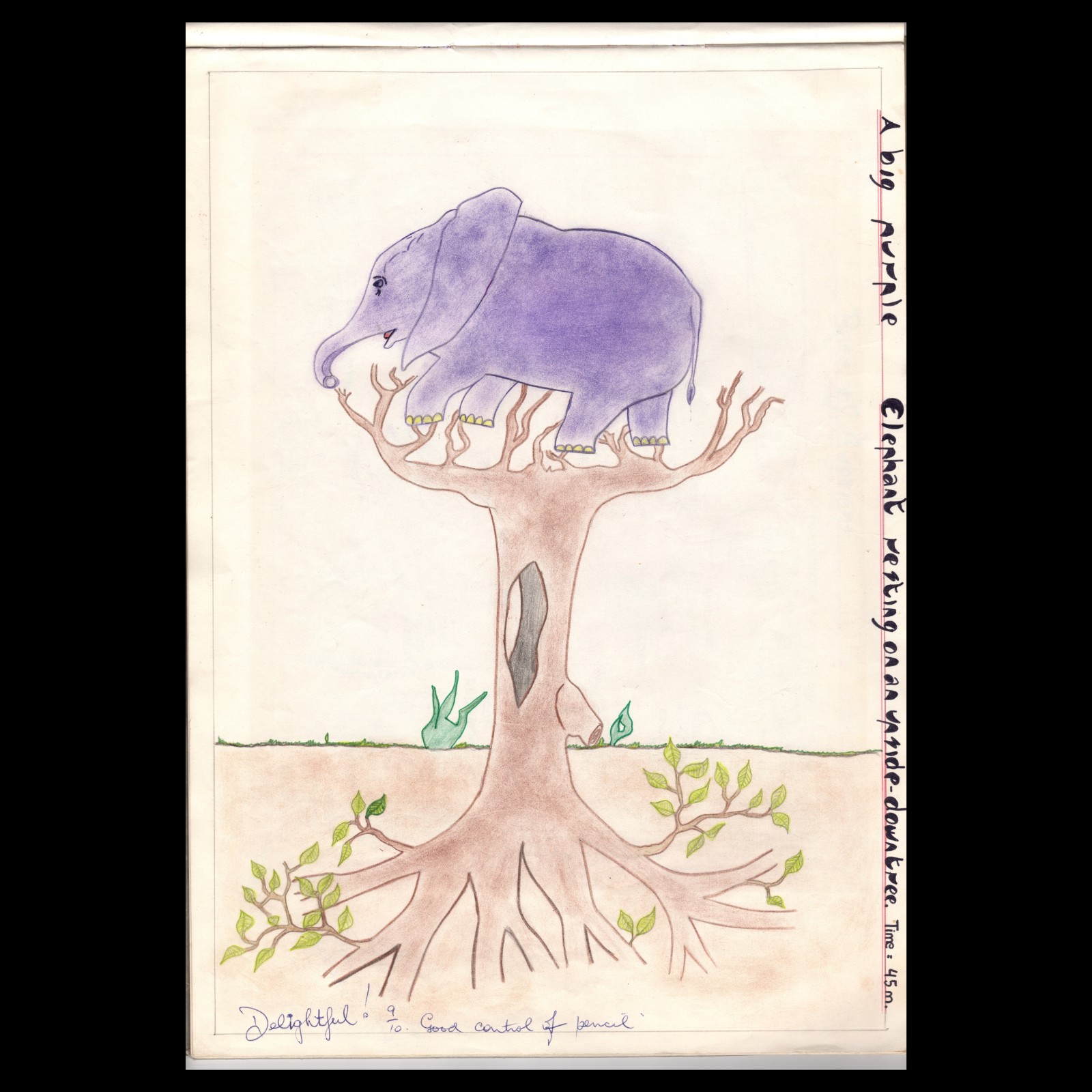 The Purple Elephant cover artwork